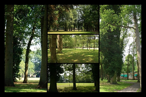 meurspark(1)-01 meurspark(1)-01